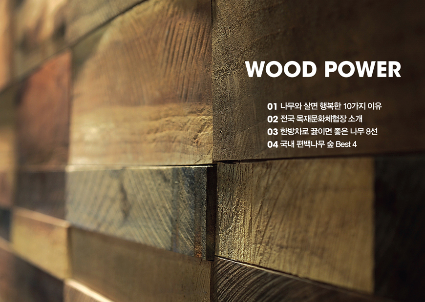 20121213_wood_power-1.jpg