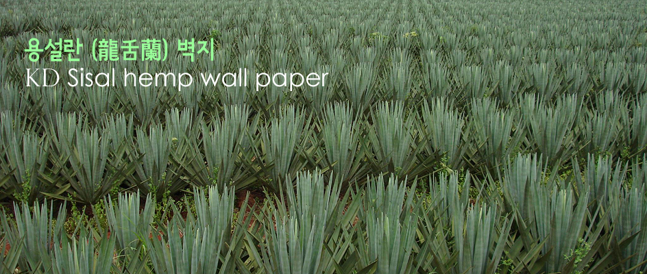 sisal-hemp.jpg